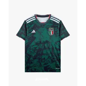italia heritage stussy front copyright 2 copie