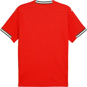 maillot portugal 2025 2026 rouge domicile puma
